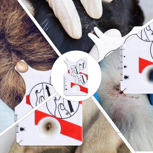 Giantree 2 Stück Zeckenkarte Mit Lupe, Zeckenkarte Mensch Schnelle Reinigung Von Zecken Zeckenentferner Kinder Mit Lupe Kompakt Und Tragbar Zecken Vom Haustier oder Menschen Entfernen