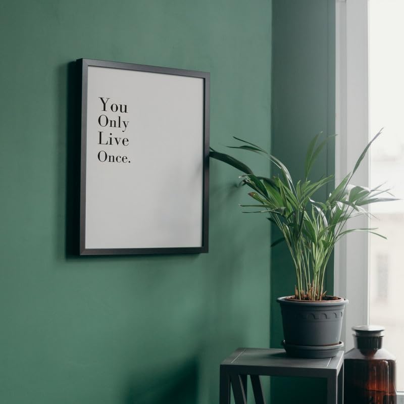 Image of Wall Framed Posters | 8x12 inch size | Motivational Quotes Posters |Inspirational inchYou Only Live Once inch Motivational Photo Frame - Desk & Wall Decor for Office, Bedroom, and Living Room