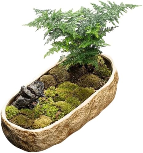 AOBOPO�x�����_���r���O�ɂ҂����� �������E���_�J���E���@�� ��^�A�ؔ��ŃJ�^�c�����K�[�f�� �X�m�[���[�t���[�^�X�Ɠ��R�C���O���X���P�����k�A�ؔ� �������������ŋT�����S����