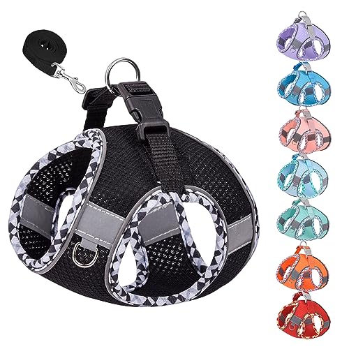 KUVEELA PET ^ L ^ n[lX [hZbg [v   hbOEGA ˌXgbvt bV  ߉\ U EȒPiubN Sj