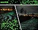 KLEMOO Glow in the Dark Pebbles 200 PCS, Artificial Decorative Stones Rocks for Walkways and Aquarium in Green, Create Glowing “Starry Night” Garden
