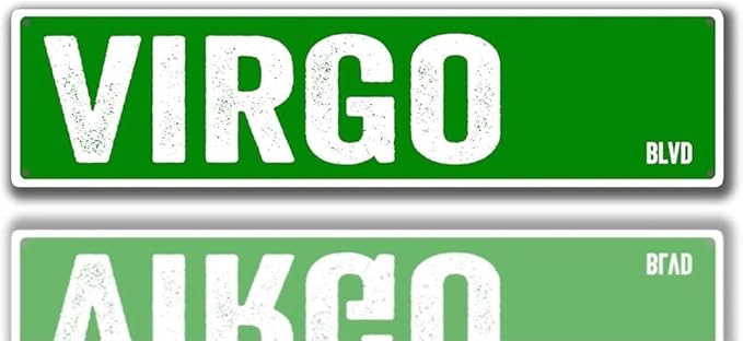 Virgo BLVD Metal Tin Sign Road Garage Living Room Bathroom Garden Signs Home Art Wall Decoration Poster Plaque Gift 6x16 Inch