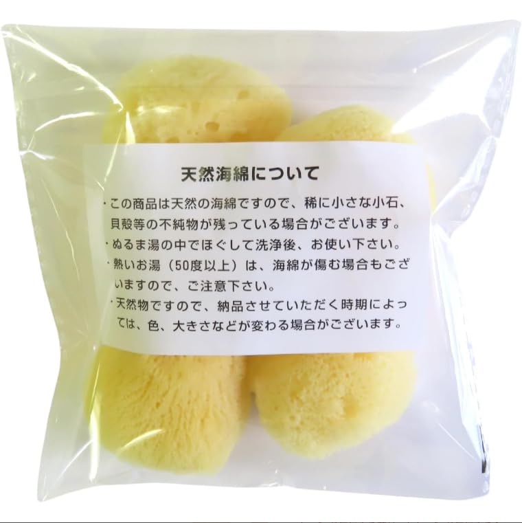 海綿スポンジ　世界最大？ ホルベイン】ホルベイン 天然海綿の通販|制作用品・用具の通販