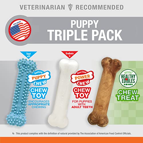 Nylabone-Puppy-Chew-Toys-Natural-Treat-Triple-Pack-Blue-Chicken-Bacon-Flavor-Small-Up-to-25-Ibs-3-Pack Nylabone Puppy Chew Toys Natural Treat Triple Pack Blue Chicken Bacon Flavor Small Up to 25 Ibs 3 Pack