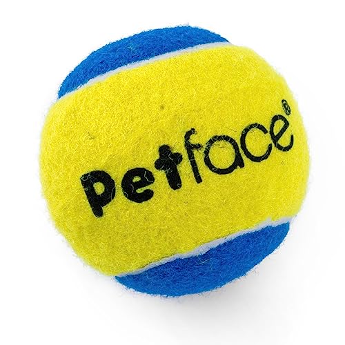 Petface Quietschender Tennisball, dreiteilig