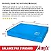AIREX Home Gym Physical Therapy Workout Yoga Exercise Foam Non Slip Balance Pad with Waterproof and Tear Proof Design for Strength Training, Blue