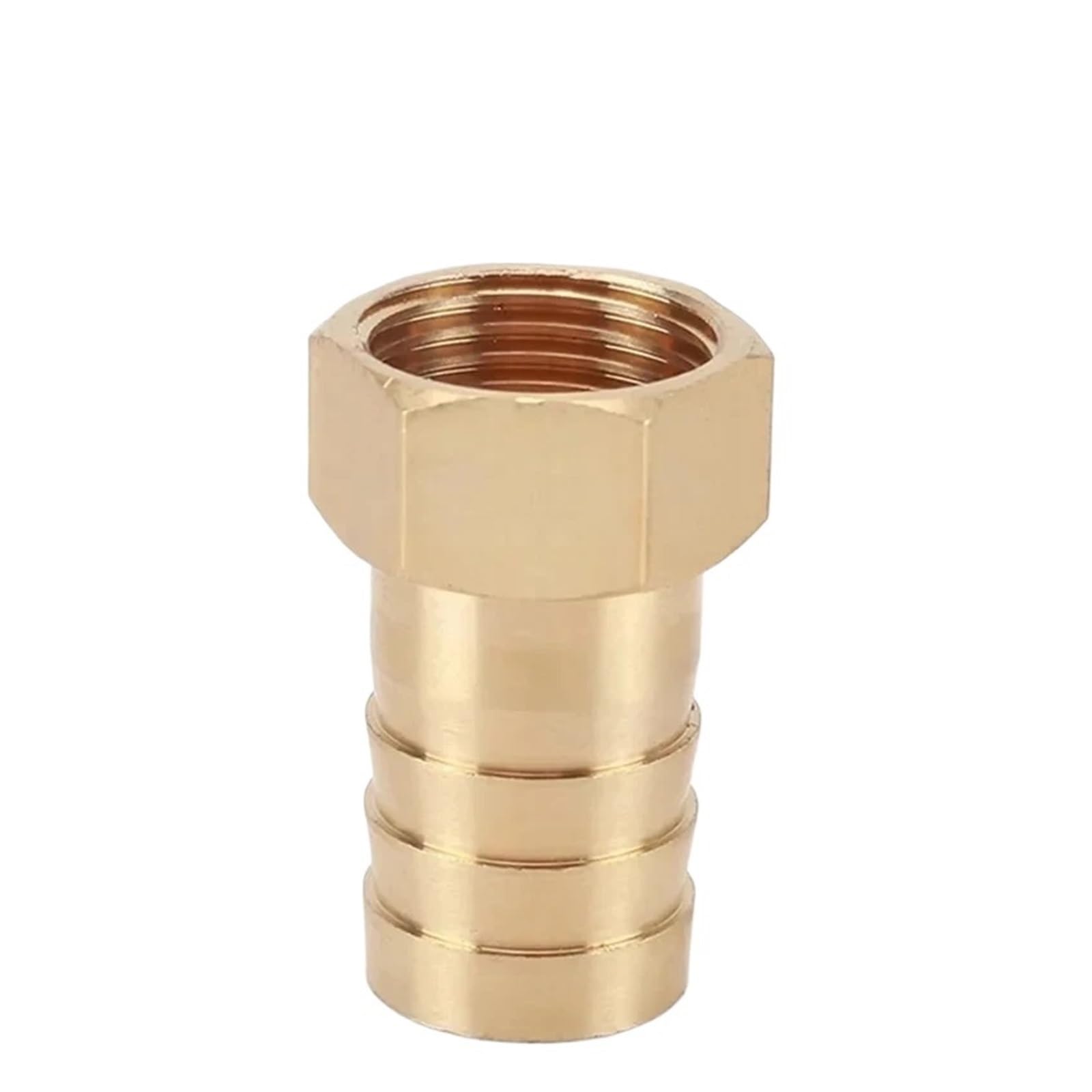 Raccordo per Tubo da Giardino in Ottone, Raccordo for Tubo Flessibile in Ottone Dritto con Filettatura Femmina BSP 6-19 mm 1/8-1 Pollice Confezione da 20(Barb 16mm-3I4)