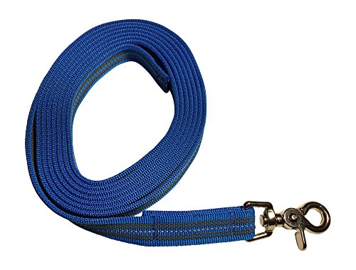 DOGS and MORE  Correa de perro DE GOMA CINTA REFLECTANTE/ correa de entrenamiento / correa de adiestramiento = > 3 Metro (sin correa de mano) en Azul