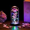 Glasseam Beauté Et La Bête Rose en Verre Dôme LED Lumières Cristal Rose Fleurs Cadeau pour Anniversaire Saint-Valentin Mariage Petite Amie Femme