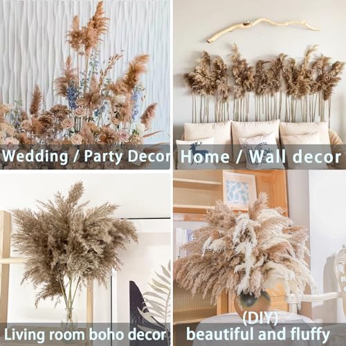 Image of 30 Stems 28 inch inch Fluffy Brown Pampas Grass Decor Tall - Natural Dried Pampas Grass, Large Pompas Grass, Dry Pampas Bulk for Living Room Decor, Boho Home Decor , Wedding Decor , Gift( 30 Brown )