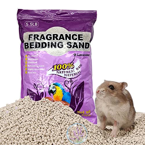 List of Top Ten Best Litter For Rats Top Picks 2023 Reviews