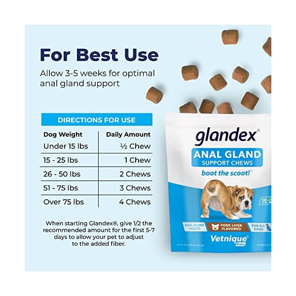 Glandex Anal Gland Soft Chew Treats with Pumpkin for Dogs Chews with Digestive Enzymes, Probiotics Fiber Supplement for Dogs – Vet Recommended – Boot The Scoot – by Vetnique Labs (Pork Liver, 30ct) Glandex Anal Gland Soft Chew Treats with Pumpkin for Dogs Chews with Digestive Enzymes, Probiotics Fiber Supplement for Dogs – Vet Recommended – Boot The Scoot – by Vetnique Labs (Pork Liver, 30ct)