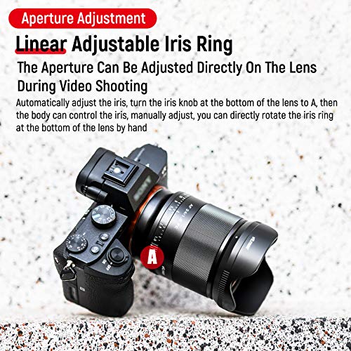 Viltrox 24mm F1.8 Objetivo Gran Angular Sony E - Fernando Cortés Viltrox 24mm F1.8 Objetivo Gran Angular Sony E - Fernando Cortés