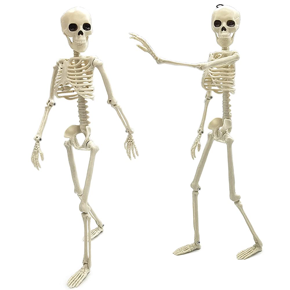 Buy 16 Inch Halloween Posable Skeletons,Full Body Posable Joints