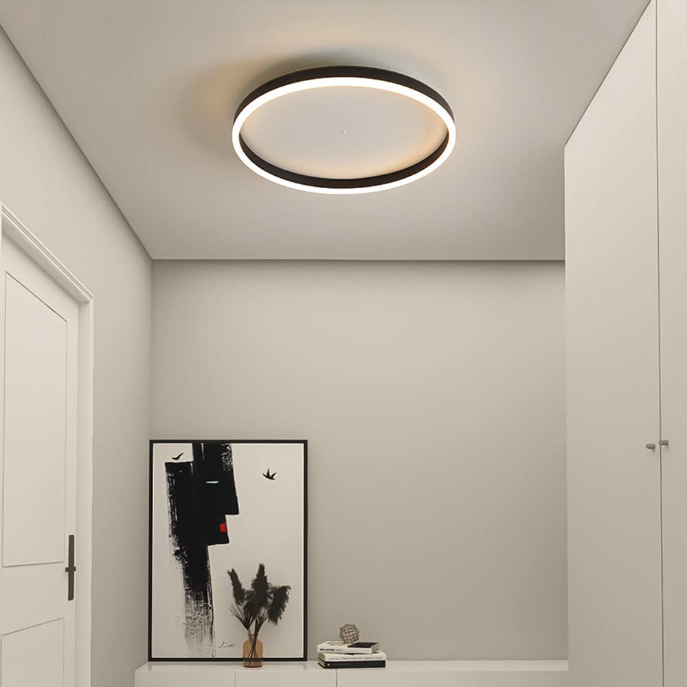 LYMSXAZOU Dimmable LED Flush Mount Ceiling Light with Night Light, Modern Bedroom Low Profile Nordic Round Flat Fixture Close to Lamp, for Dining Room Kitchen Hallway Made in China