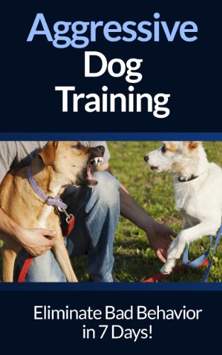 dog trainer for aggressive dogs