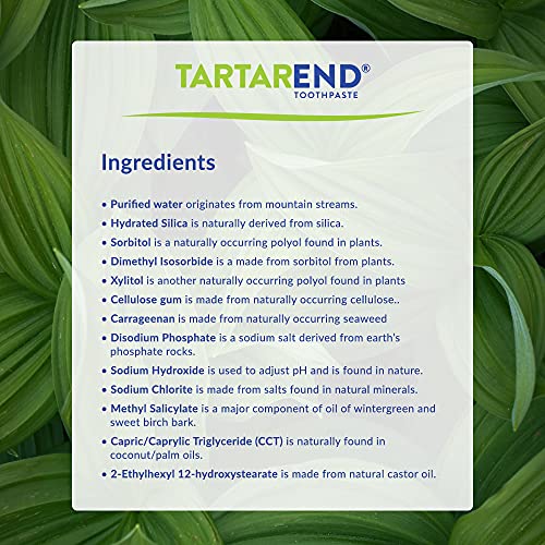 TartarEnd Toothpaste Your Solution for Tartar Removal and Prevention