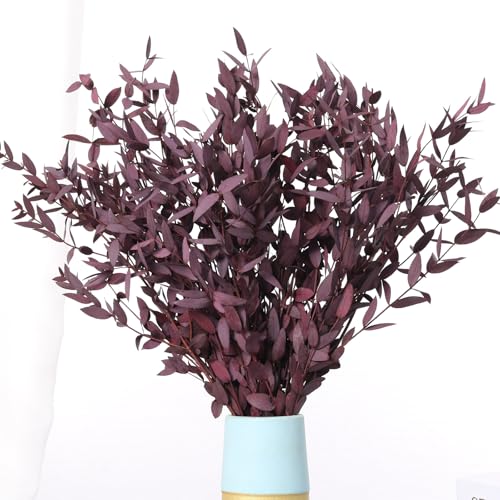 Dried Eucalyptus Leaves with Stems, Real Eucalyptus Branches for Shower, Preserved Plant Bundle for Wedding Wreath Party Home Fragrance Vase Décor, Violet Red