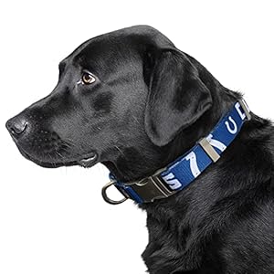 Littlearth NFL Unisex-Adult NFL Premium Pet Collar | Durable All Metal Pet Collar | Durable Pet Collar