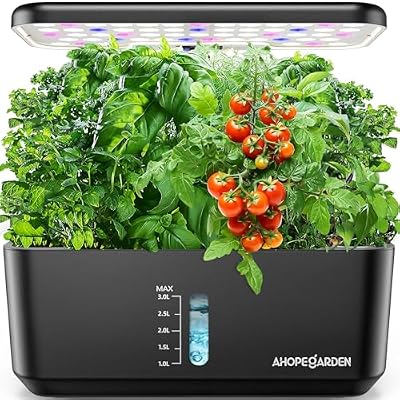 Best Indoor Herb Gardens for Fresh Herbs
