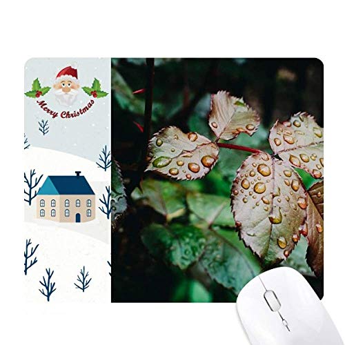 Tapis de souris rosée de la nature pour sublimer votre bureau de maison