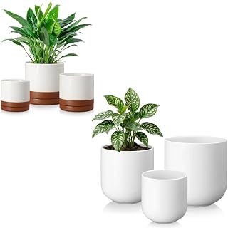 vancasso Ceramic Plant Pots, 6 Pieces Planters for Indoor Plants, 4+5+6 Inch, 6+8+10 inch, Flower Pots with Drainage