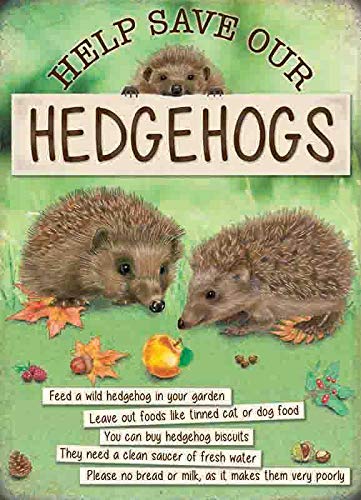 Original Metal Sign CoSmall (150 x 200mm) - Help Save Our Hedgehogs