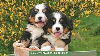 Calendar Puppies 2023 – 2024 28 Month Planner: 2 Year Pocket Calendar Book