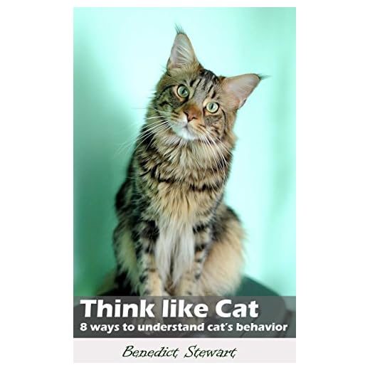 Think Like Cat: 8 Ways to Understand Cat Behavior( think like cat, cat behavior, how to, understand cat, train cat, kitty, train kitten): Think Like Cat: ... Cat Behavior( think like (English Edition)