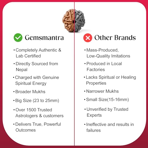 Image of GEMSMANTRA 6 Mukhi Rudraksha Without Silver Pendant Original Nepali, Regular Size, Natural and Lab Certified, Helps to Improve Wisdom, Knowledge, Helps in Balance Emotional Stability for Men & Women
