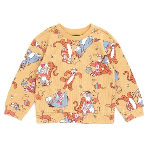 Disney Winnie the Pooh Waffle Knit T-Shirt and Pants Outfit Set Newborn to Little Kid Sizes (Newborn - 5)3