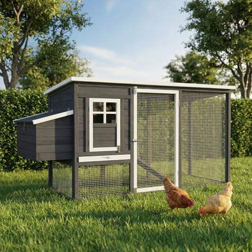 Miweba MyAnimal Hühnerstall für 4 Hühner | 174x76x103 cm Winterfest - Vogelhaus - Hühnergehege mit Nistkasten - Voliere - Hühnerhaus - Freilaufgehege Huhn - Legenest - Vogelvoliere (Grau)