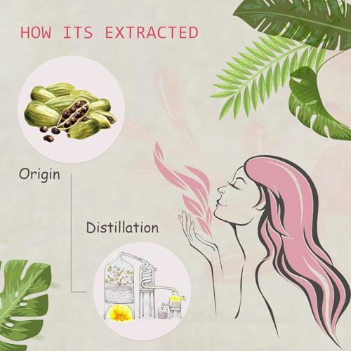 Aceite Esencial de Cardamomo 2-Pack 2x10ML Puro Orgánico miniatura 2