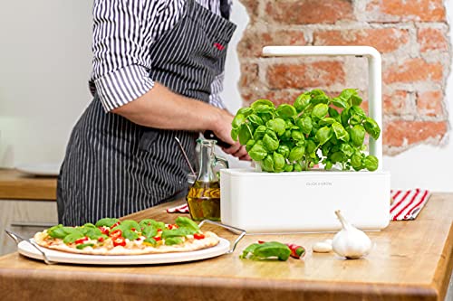 Click & Grow Smart Garden 3 jardinière d'intérieur 30 x 10 x 28 cm Blanc (contient 3 capsules de basilic) Click & Grow Smart Garden 3 jardinière d'intérieur 30 x 10 x 28 cm Blanc (contient 3 capsules de basilic)