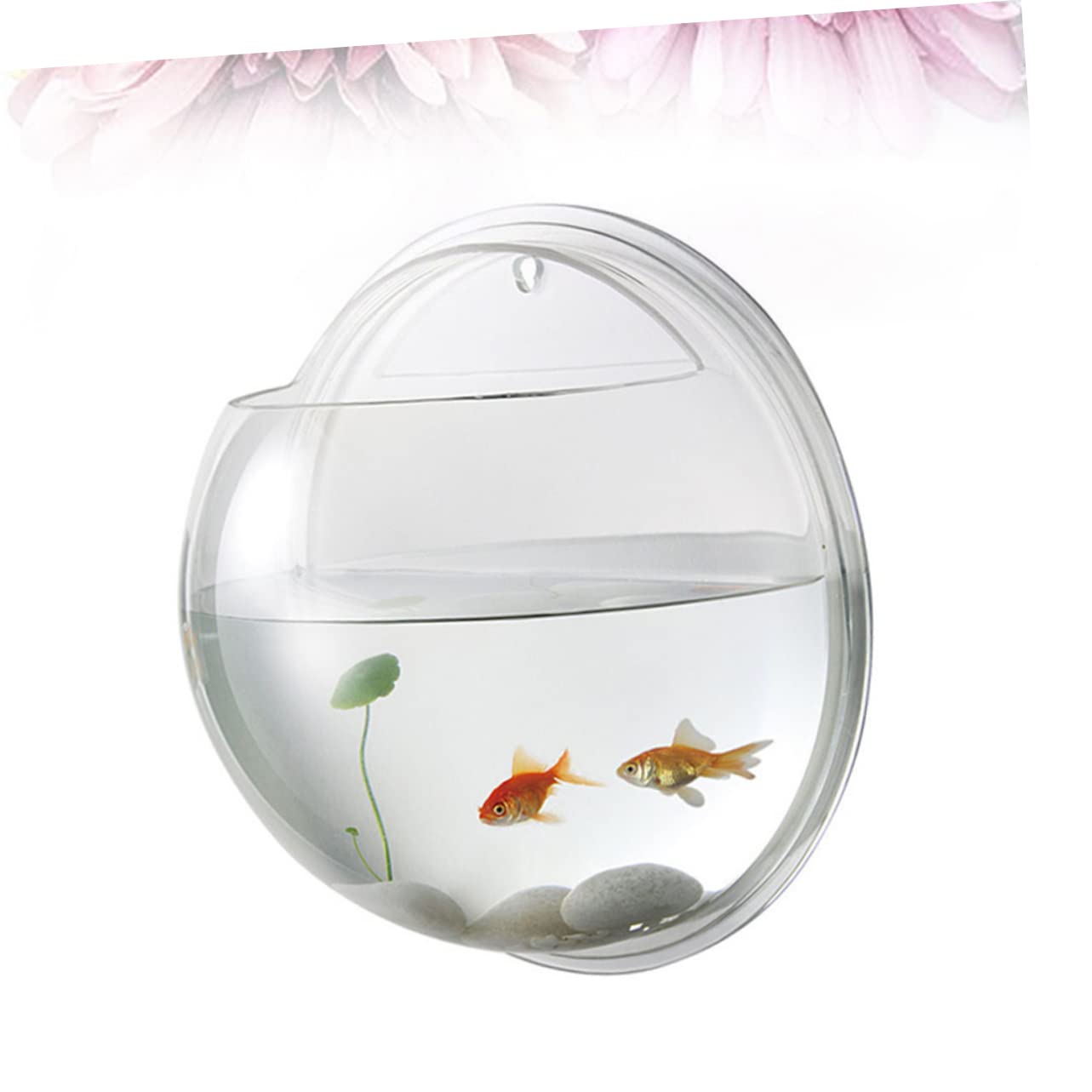 Toddmomy 3 Pièces Aquarium De Poissons Bols À Poissons pour Betta Cylindre De Poisson Aquarium Réservoirs D'Aquarium Suspendus en Acrylique Transparent Bol À Poisson Mural Bol D'Aquarium