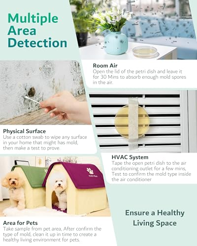 Image of Mold Test Kit for Home - 4 Simple Detection Tests for HVAC, Surfaces & Indoor Air Quality, DIY Black Mold Detector Testing kit at Home, with Detailed Identification Guide & Free Lab Analysis