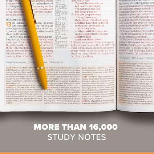 Image of CSB Study Bible, Brown Genuine Leather, Red Letter, Study Notes and Commentary, Illustrations, Articles, Word Studies, Outlines, Timelines, Easy-to-Read Bible Serif Type