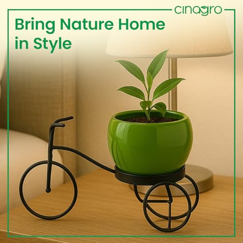 Image of CINAGRO Cycle-Shaped Metal Plant Stand for Indoor & Outdoor Use, Metal Cycle Flower Vase, Decorative Iron Planter Pot Holder for Flowers & Ornaments (24 x 11 x 11cm) Style: Urban Pedal, Big