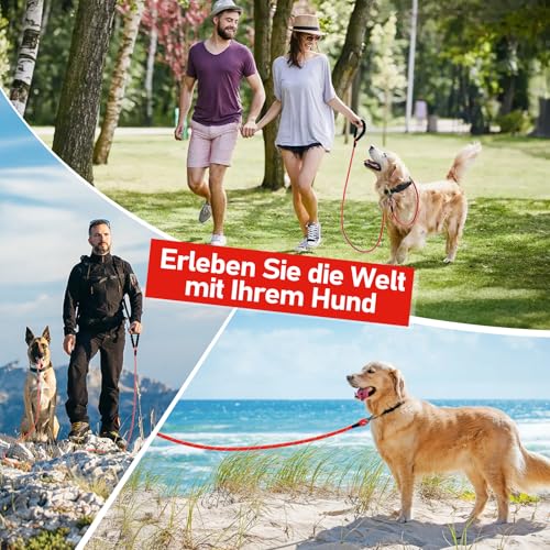 X XBEN Schleppleine für Hunde,10M Starke Hundeleine mit Bequemen Gepolsterter Griff, Trainingsleine Laufleine für Kleine Mittlere Große Hunde, Abschließbarer Karabiner