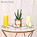 Murrey Home Gym Mirrors 8