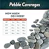 Mexican Beach Pebbles | 20 Pounds of Smooth Unpolished Stones | Hand-Picked, Premium Pebbles for Garden and Landscape Design | Mixed, 2 Inch - 3 Inch