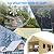 GarveeLife 10'x20'Carport, Waterproof UV Resistant Car Canopy with Roll Up & Down Mesh Window, All-Season Tarp for Pickup Truck & Boat