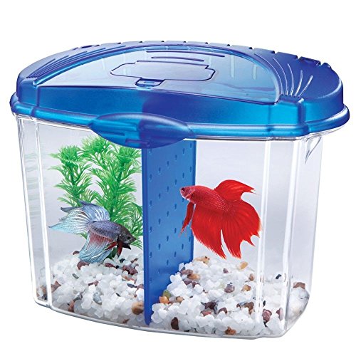 Aqueon Betta Bowl Aquarium Kit #TOP21