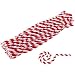 Caryko Striped Chenille Stems Pipe Cleaners, Pack of 100 (Red)