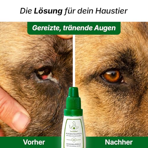 TraumaPet Augentropfen Kolloidales Silber Hund 10ml