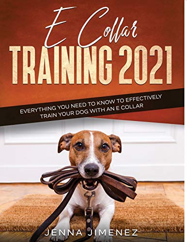 E Collar Training2021: Everything You Need to Know to Effectively Train Your Dog with an E Collar