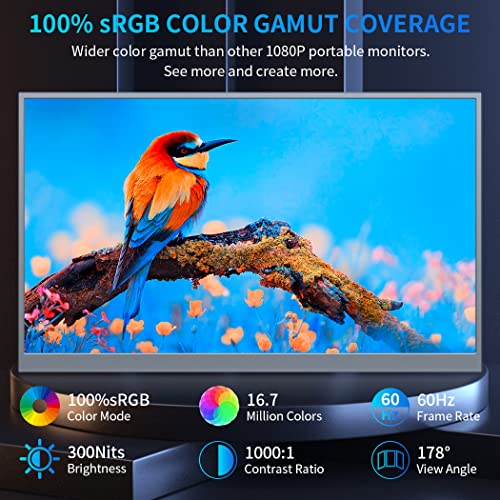 Image of Portable Monitor 18.5 inch,300cd /m 100% sRGB, 1080P FHD IPS Portable Big Screen with Stand,HDMI & Type-C Ports External Display for Laptop Mini PC Mac Xbox Switch PS5 Phone