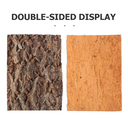 DOITOOL 2 Stück Korkrinde für Terrarium 30x20cm - Natürliche Champag-ner Rinde Reptilien Versteck Kletterwand - Terrariendekoration Holz für Echsen Spinnen Schlangen Geckos und Amphibien Zubehör