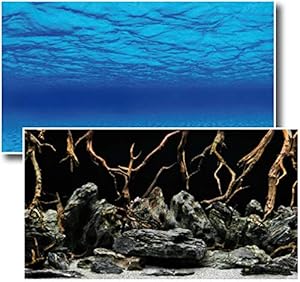 Amtra Deko Fotorückwand Mystic 120x60cm 2in1