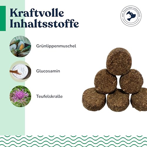Hundesnacks mit Grünlippmuschel & Lachsöl – getreidefreie Kauartikel für Welpen, ausgewachsene Hunde und Senioren – sorgfältig hergestellte Leckerlis für aktive Vierbeiner, ca. 70 Stück